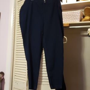 Dark Wash Skinny Jeggings